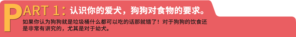 认识你的爱犬，狗狗对食物的要求