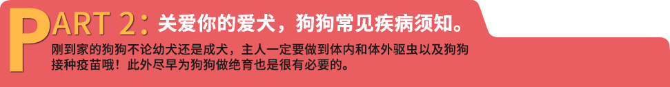 关爱你的爱犬，狗狗常见疾病须知
