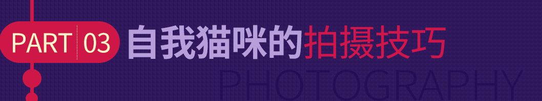 自我猫咪的拍摄技巧