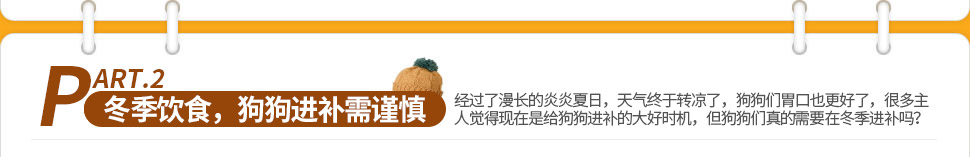 冬季饮食需注意，狗狗进补需谨慎