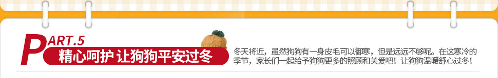 精心呵护，让狗狗平安过冬